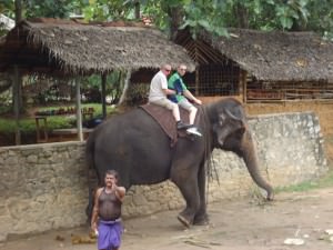 riding elephants in Pinnewala Sri Lanka