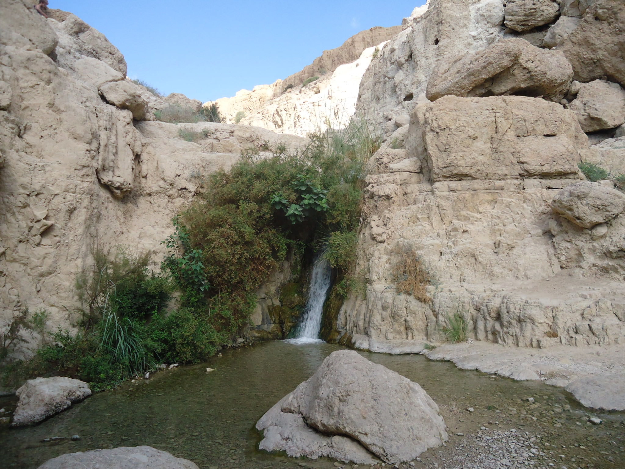 Visiting Ein Gedi: A "Desert Oasis" in Israel