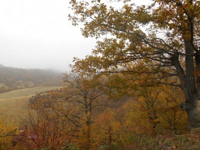 autumn in gandzasar monastery