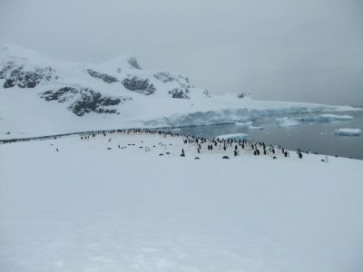 best antarctic islands