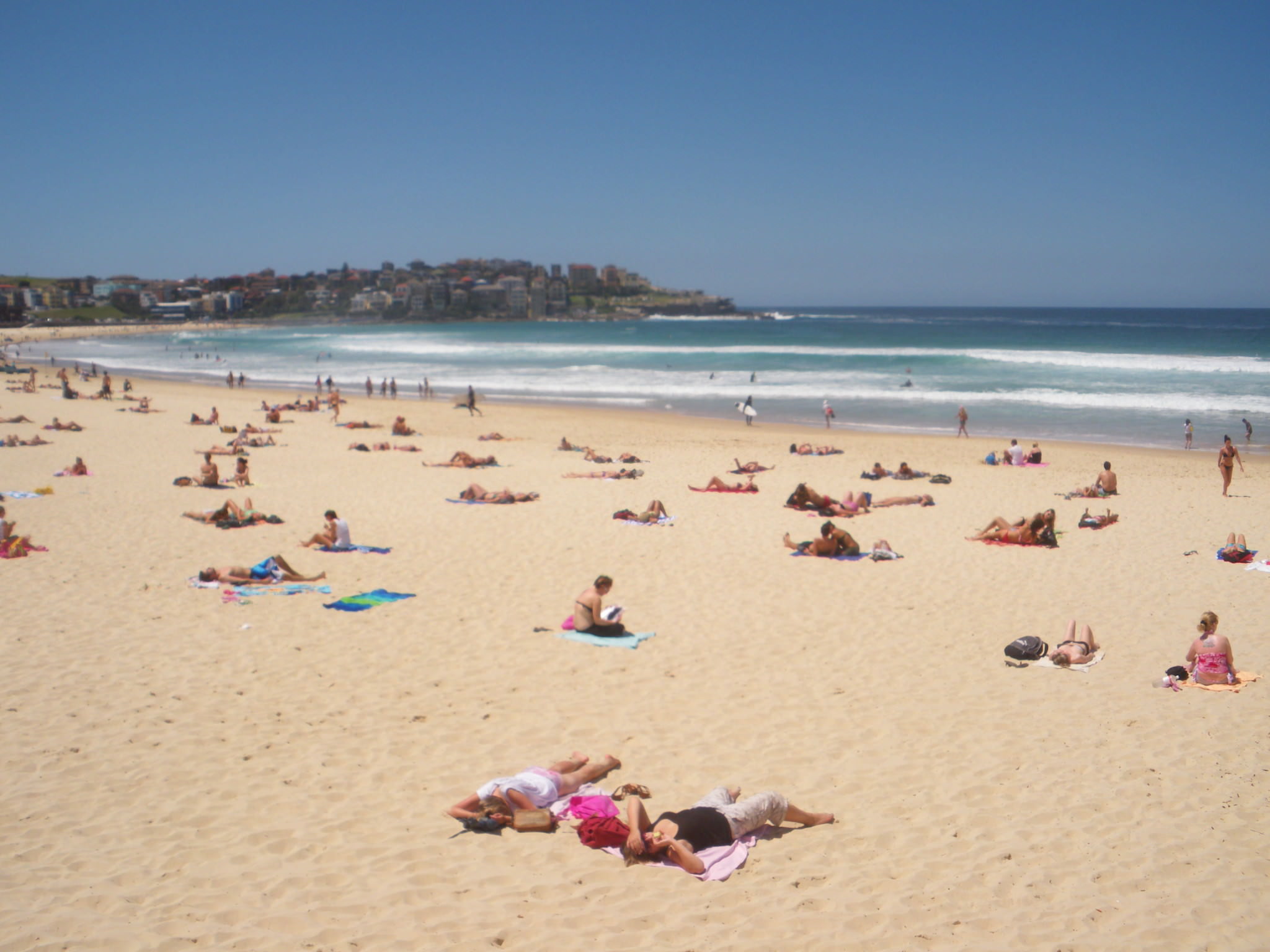 Best Gay Beaches in Sydney - The Top Six List
