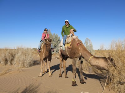 mesr desert camel riding
