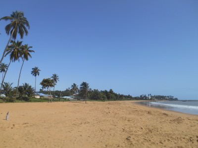 The beach near the Novotel in Cayenne where we saw the turtles.