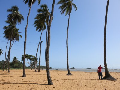 Relaxing by the palm trees on the golden sands of the Novotel beach, French Guyana.