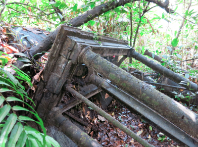 Ruins of the old mills in the jungle.