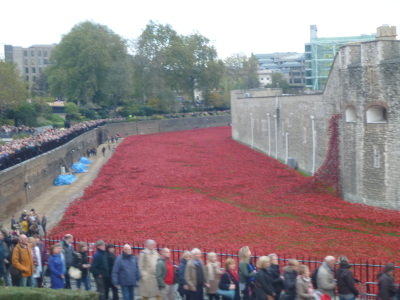 The queues at the Tower of London near the Poppy display.