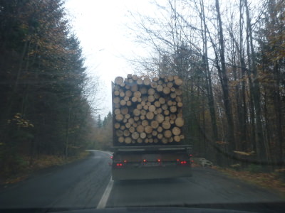The charm of the drive to Cacia - rural Romania at its best, stuck behind a juggernaut of logs.