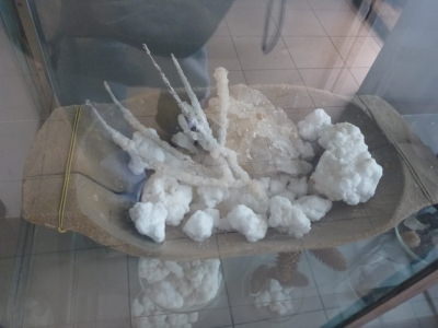 Salt artefacts in the museum.