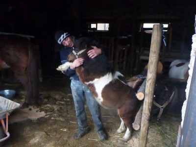 Tudor with a donkey in his farm.