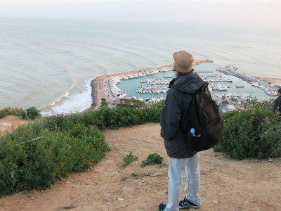 Admiring the Marina at Sidi Bou Said