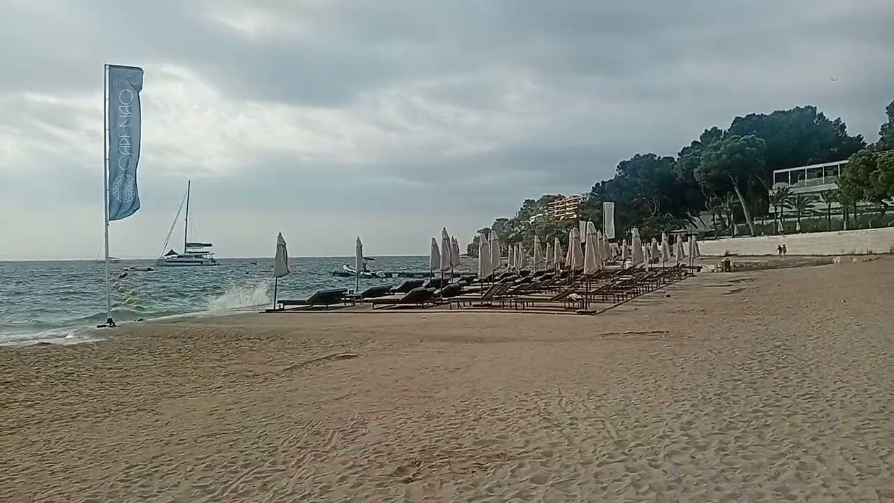 YouTube video player
