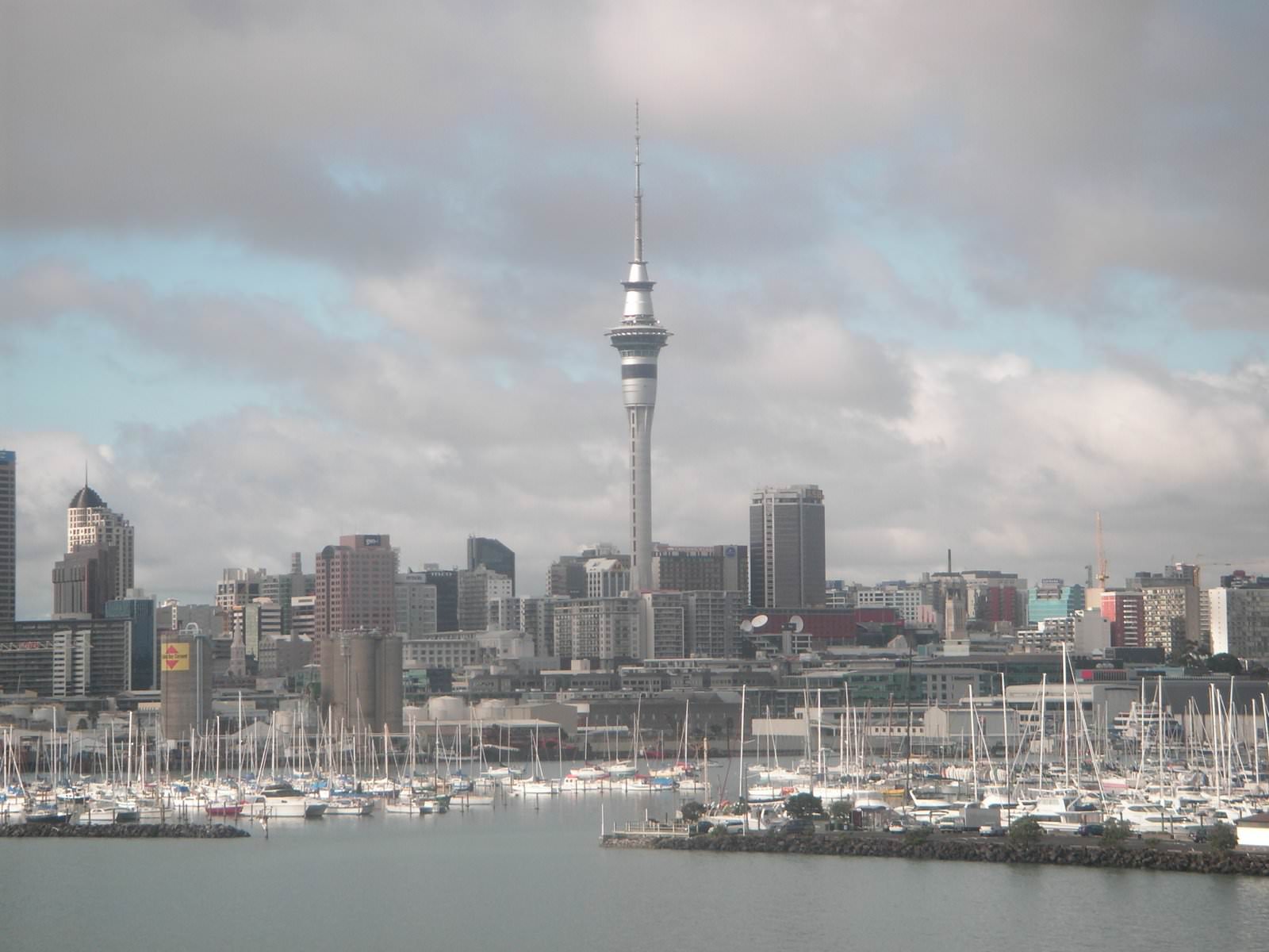 Auckland skyline New Zealand