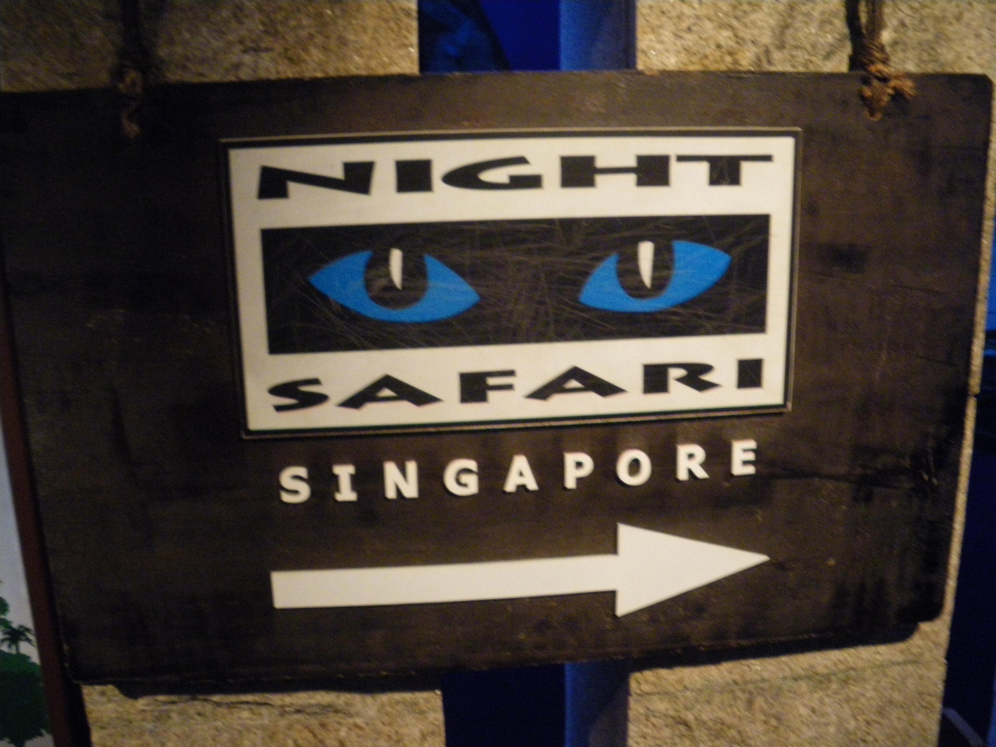 Night Safari Singapore Zoo 2009