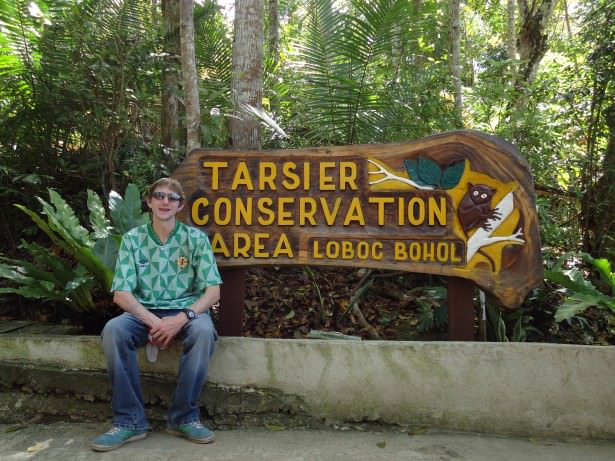 tarsier in bohol