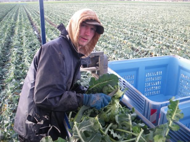 Jonny Blair lives a lifestyle of travel - he worked on the world's first broccoli harvester