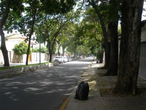 mugging in Caracas Altamira