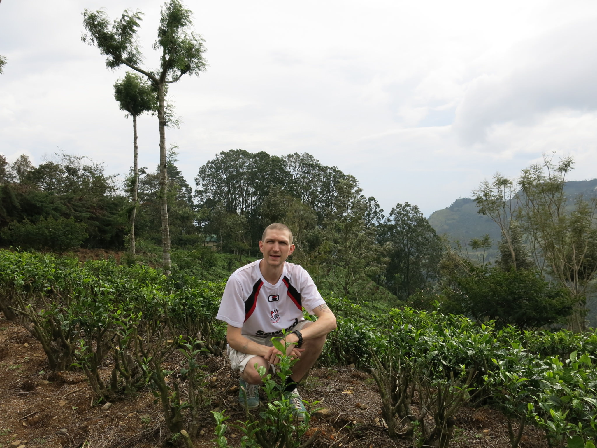 Jonny Blair in Haputale tea plantations in Sri Lanka
