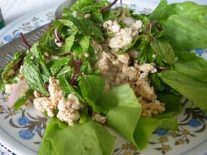 laap salad in laos vientiane
