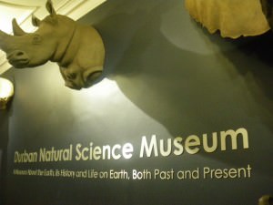 free entry museum durban south africa