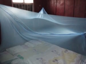 mosquito net travel essentials