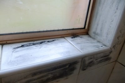 Finger prints on the windowsill after the Forensic team checked them out.