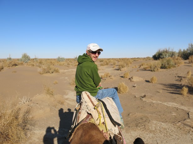 camel riding in mesr