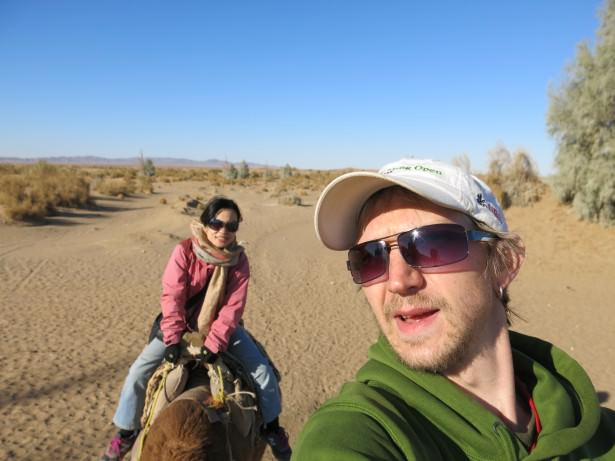 desert camels mesr