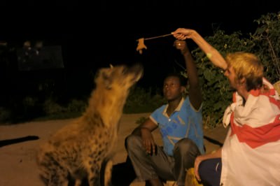 Living for the moment in Ethiopia feeding hyenas.