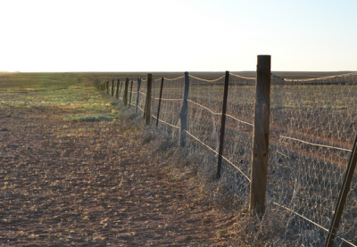 Dingo Fence in Australia.