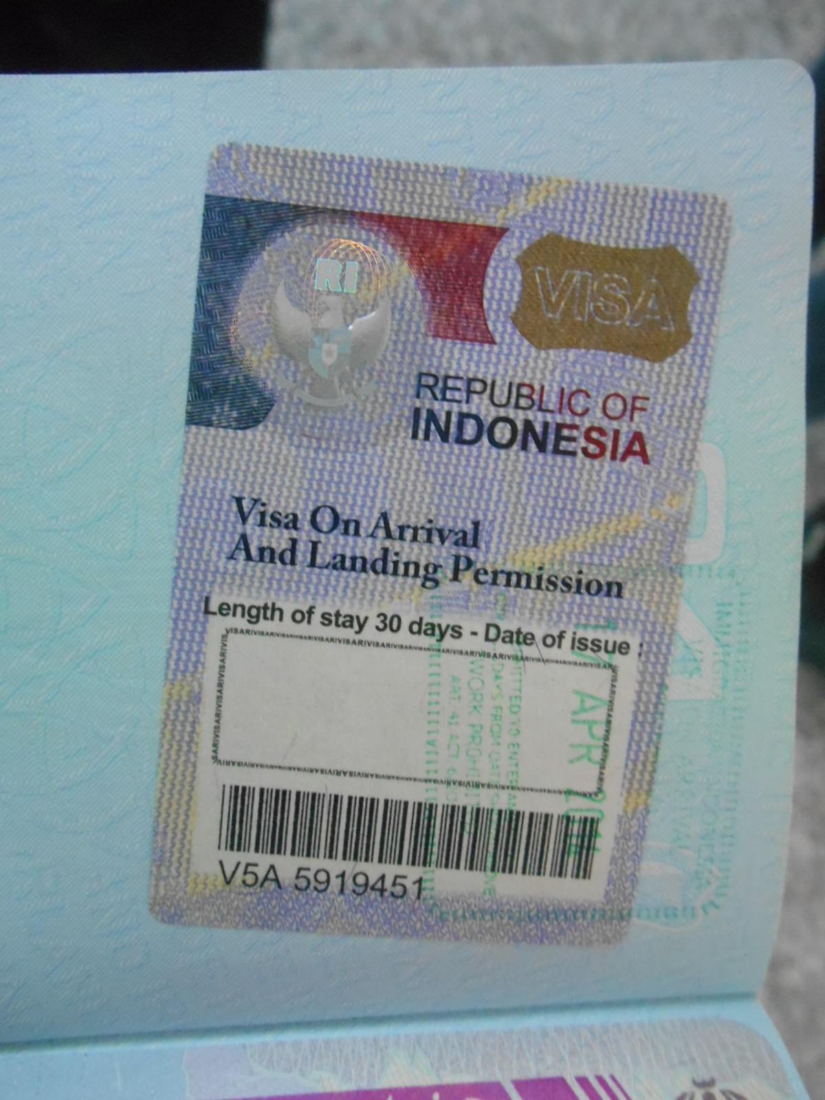 виза в индонезию