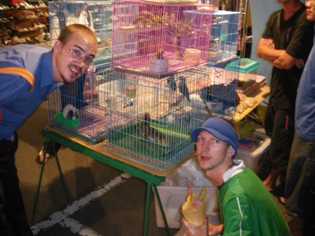 Animals at the night market in Xinying Taiwan