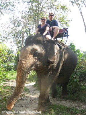 World Travellers: Josh & Liz riding elephants in the jungle in Thailand