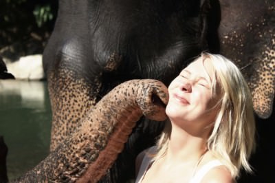 Elephant love with Laura Coolen.