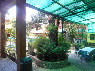 The leafy gardens at Posada Los Encuentros.