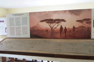 Oldupai Museum, Tanzania.