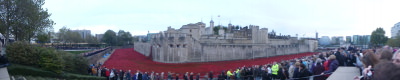 Panorama view of the Poppies display.