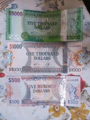Guyanese Dollars
