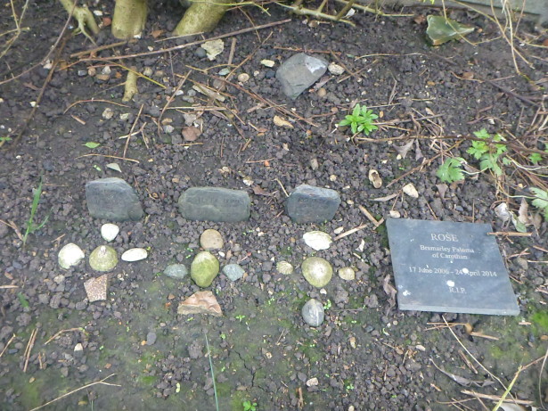 Wrythe Pet Cemetery, Austenasia