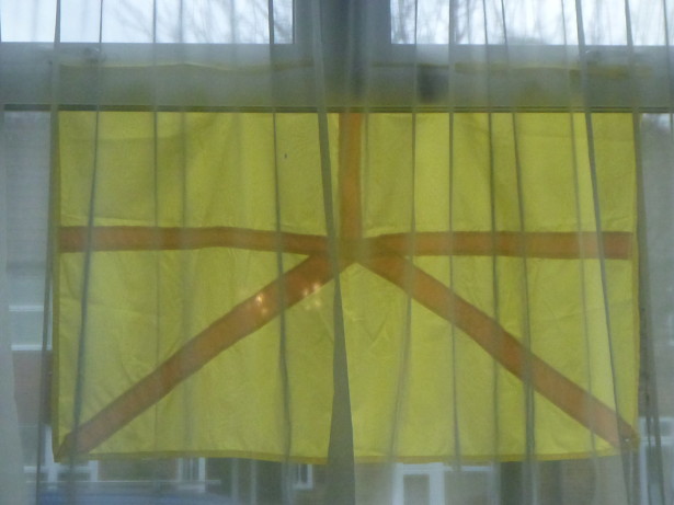 The Austenasian Flag viewed from Parliament Hall in Wrythe.