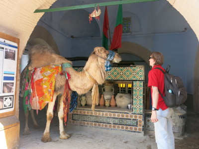 Bir Baroutta and the camel connected to Mecca.
