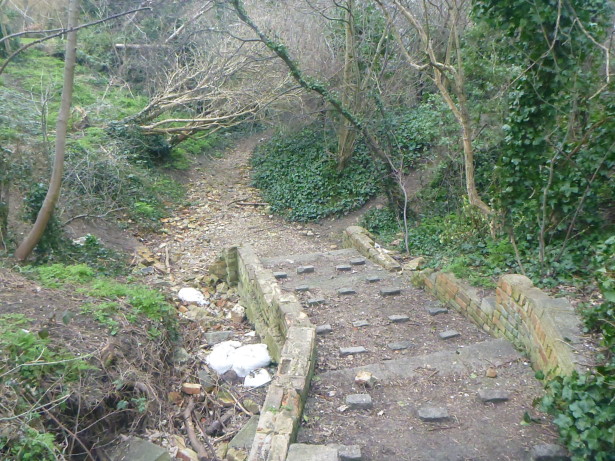 The Copan Steps