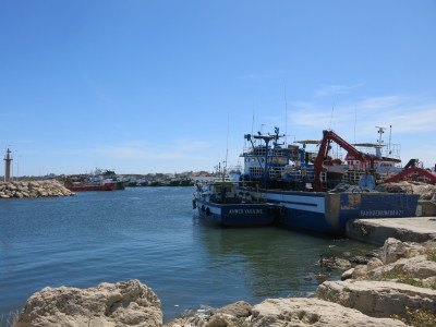 Teboulba harbour