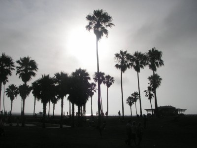 Sunset on Venice Beach