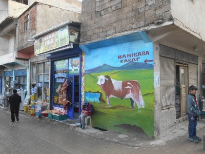 A cow mural in unusual "Doggy" (Dogubayazit, Turkey)