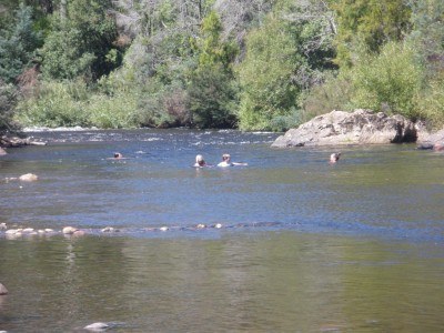 The waters of Latrobe where you can view the duck billed platypus
