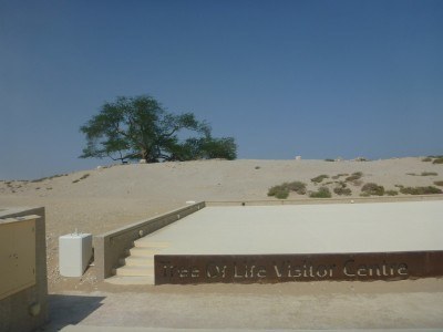 Tree of Life and Visitor Centre