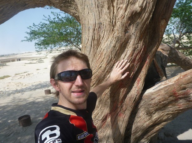 Touching the tree of life