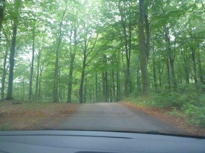 Driving through the forested roads to Ladonia