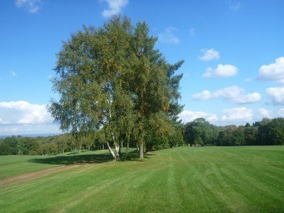 Countryside walks at Cottesmore Hotel Golf and Country Club