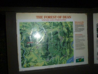 On the night vision tour at the Forest of Dean